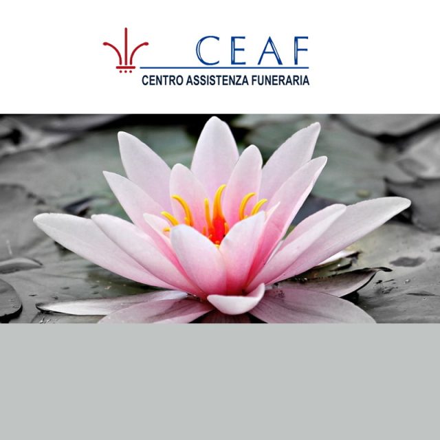 CEAF
