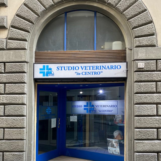 STUDIO VETERINARIO IN CENTRO