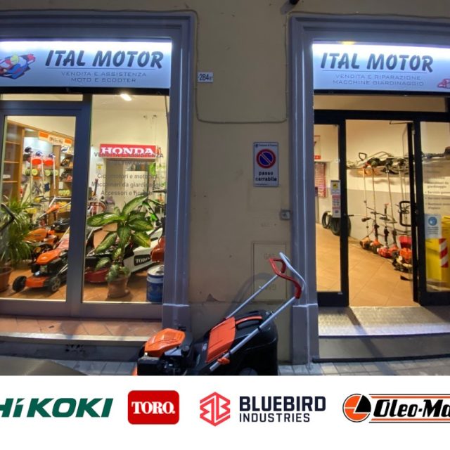 ITALMOTOR