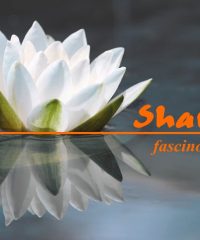 SHANTI DEVA
